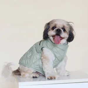 New Pistache Packable Quilted Dog jacket