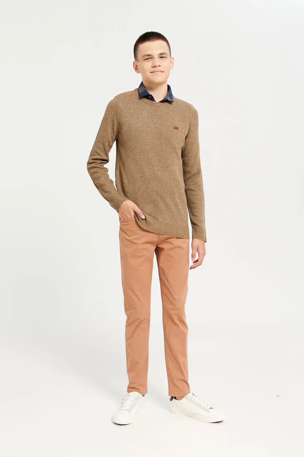 Senior Boys Beige Collared Sweater