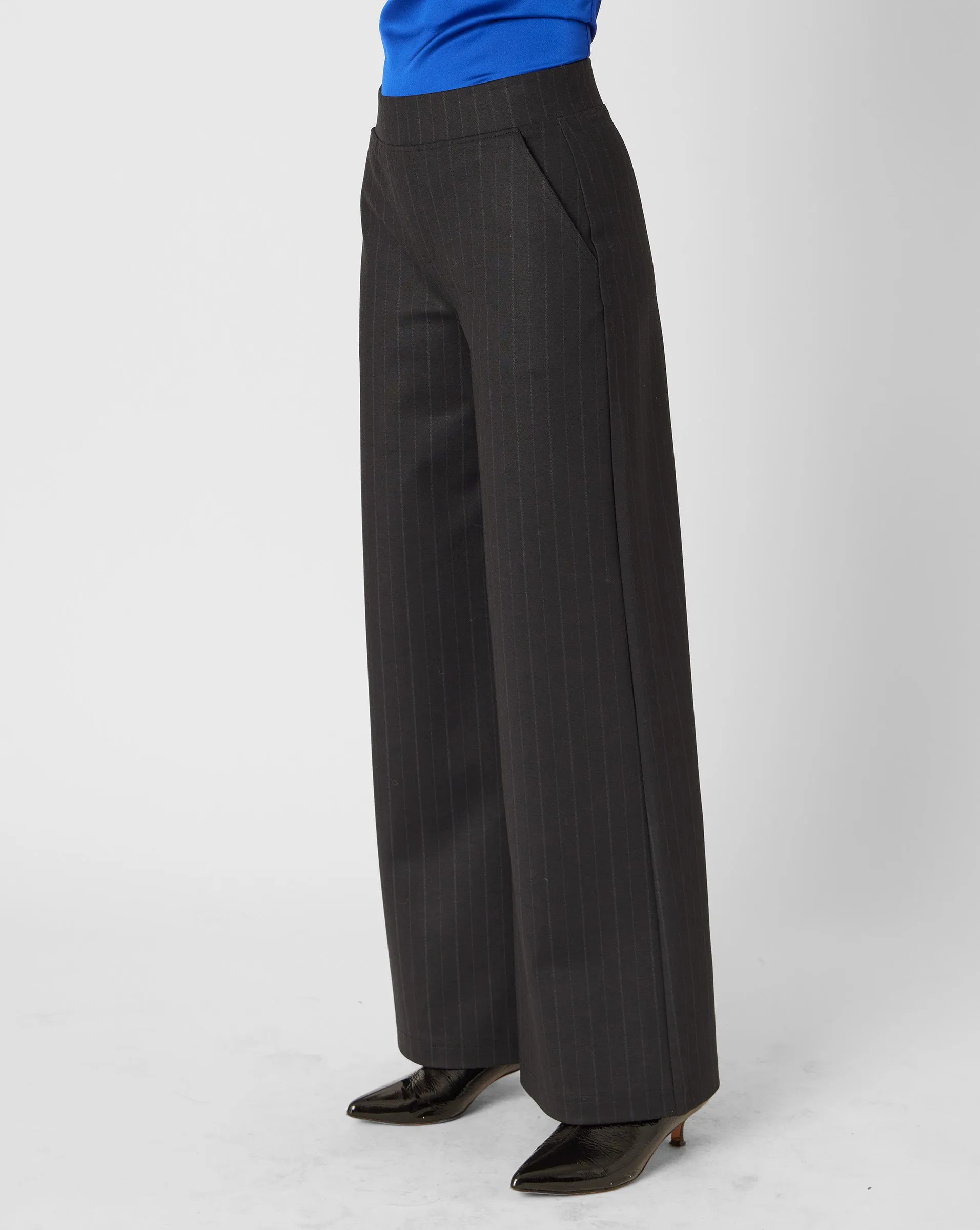 Wide Leg Pinstripe Pant